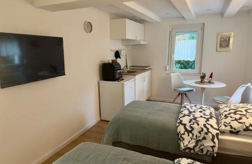 Aldingen Apartment | Traumhaft modernes Zimmer mit Doppelbett,Gemeinschaftsbad und WC in 78554 Aldingen