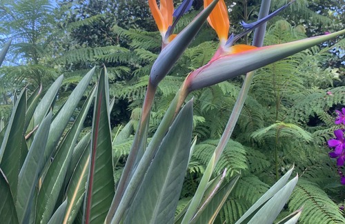 Emu Plains House | Travel for Work? - Stay Penrith -