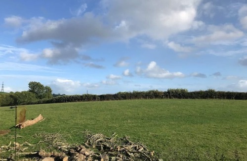 Liverton Other | Tree house and shepherds hut