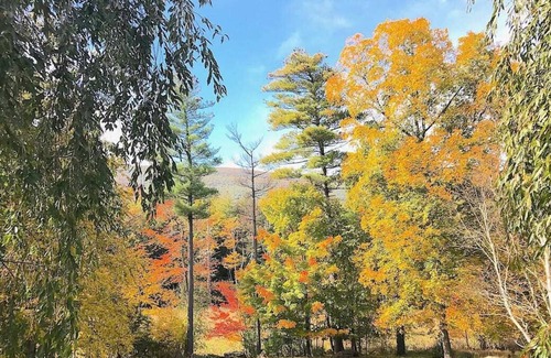 Saugerties Apartment | Tree-House Apartment in the Catskill Mountains