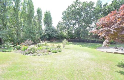 Harlow Villa | Tree House