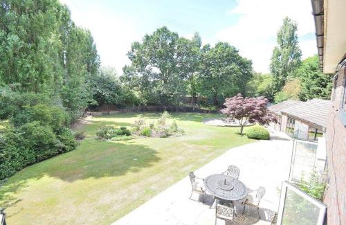 Harlow Villa | Tree House