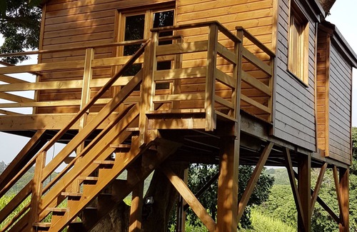 Sainte-Suzanne Cottage | Tree house in a litchi