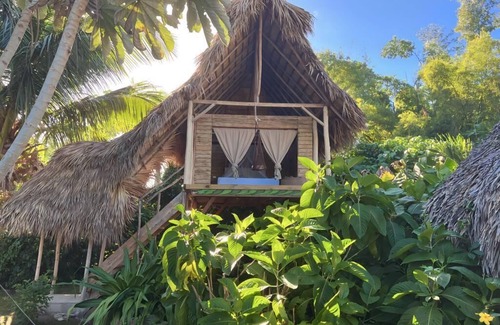 El Limon House | Tree house in the Dominican jungle