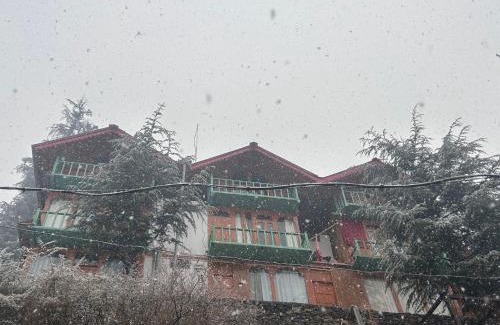 Banjar House | Tree Hub