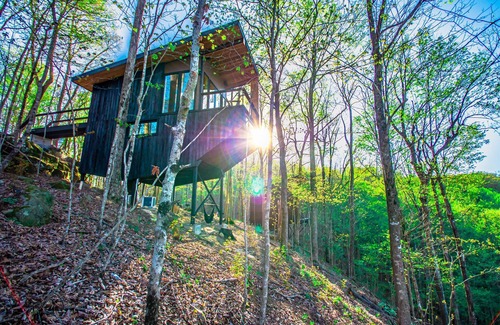 Beersheba Springs Cabin | Tree loft 1 a view for miles in the trees
