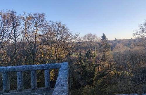 Huelgoat Cottage | Tree oasis .canopy terrace