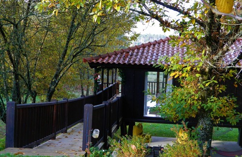 Arcos de Valdevez Cottage | Tree Pool Villa