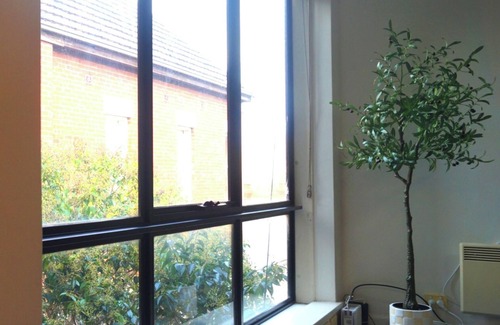 St Kilda Apartment | Tree Top Retreat - Cosy, Light Filled, Centrally Located, 1BR