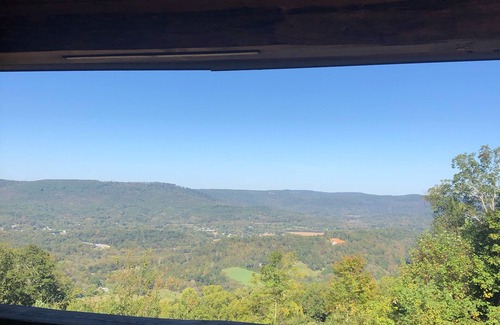 Wildwood Apartment | Tree Top View