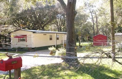 Bearss Plaza House | 'Tree Tops' A Florida Friendly, Pet Friendly, Rental