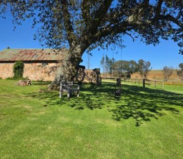 Emakhazeni Cabin | Treeferns Trout Lodge