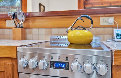 Guerneville House | TreeFort~Bright & Inviting Forest Cabin! Smarthome! EV Charger!HtTb,Decks,Pup