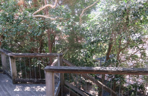 Arakoon House | TREEHOUSE - ARAKOON LARGE FAMILY HOME