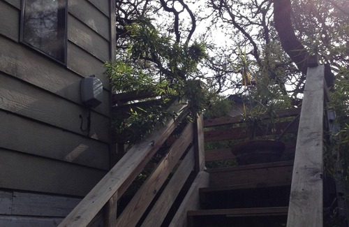 Bouldin Apartment | Treehouse, walk to downtown, SoCo, ACL, SxSW. 2nd story apt. Amongst the oaks.