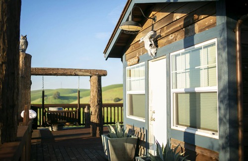 Martinez House | TREEmendous Potting Shed