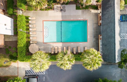 Shandon Condo | Treetop Loft 2/2 USC Downtown Columbia