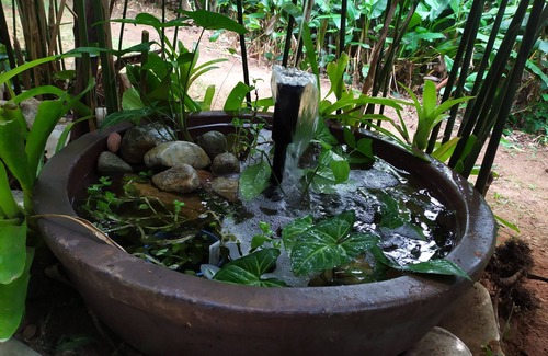 Bingil Bay House | 'TreeTops By The Sea': Your Family Holiday Escape!