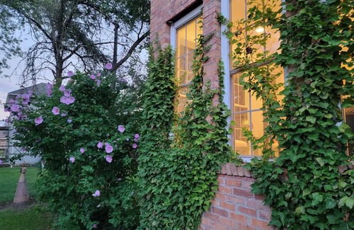 Stevensville House | Trendy Lake Michigan Getaway- Pet Friendly