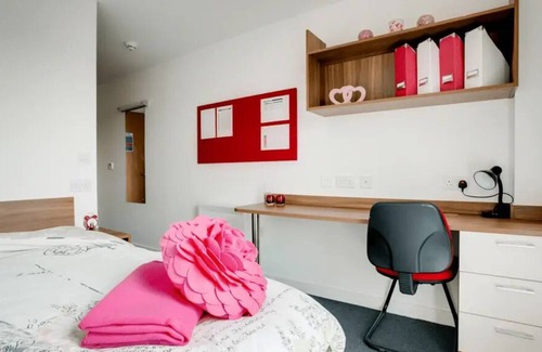 Birmingham Apartment | Trendy Room in Birmingham