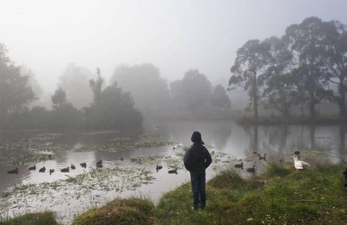 Trentham Bed & Breakfast | Trentham Lake Villas - Lake View
