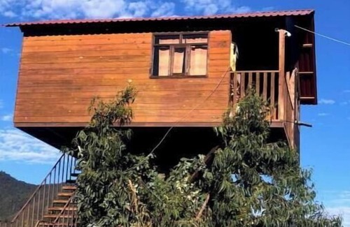 Omitlan de Juarez House | Trini Tree House — Nido By GEstores