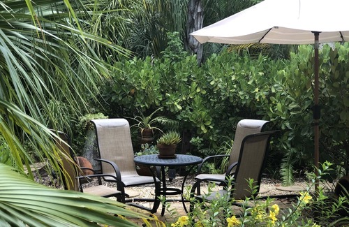 Alta Vista House | Tropical Backyard Oasis! Prime Location Near Main St & Trolley to Lido Beach!