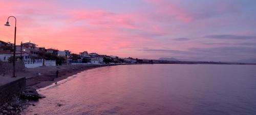 Petalidi Apartment | Tropical Beach "Triton"