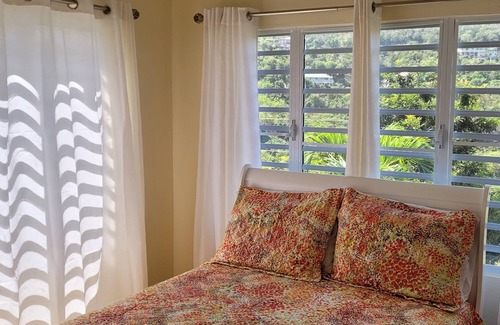 Rosendal House | Tropical Haven minutes away from Magen's Bay Beach