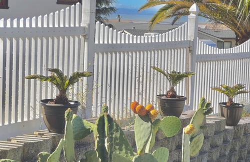Vallejo House | Tropical North Bay Getaway minutes from the San Francisco ferry and Napa.