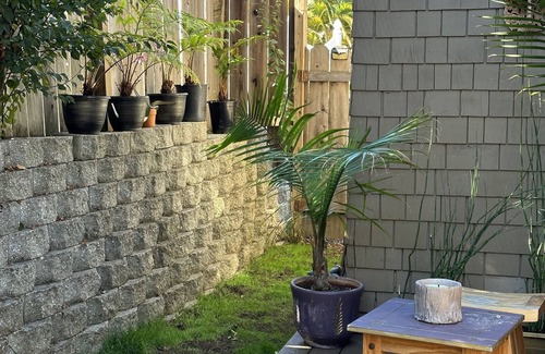 Vallejo House | Tropical North Bay Getaway minutes from the San Francisco ferry and Napa.