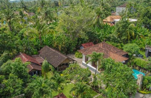 Temukus House | Tropical Oasis Lovina