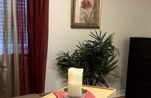 Killeen Apartment | Tropical Oasis