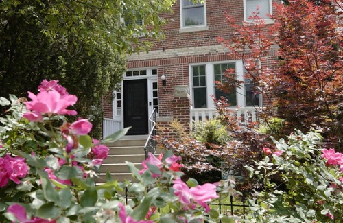 Mount Pleasant Apartment | Tropical Paradise by the Park