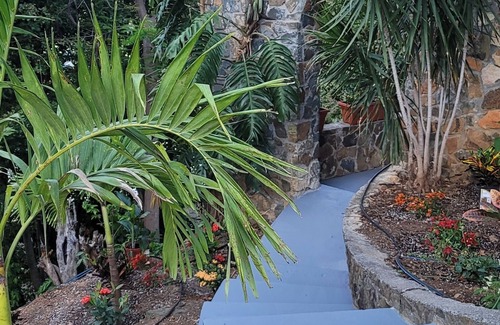 Havensight Apartment | Tropical Treasure - Solar, Battery Backup Contemporary Convenient Apt- Sleeps 4