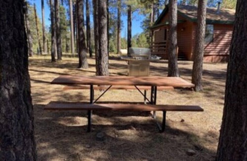 Heber Cabin | Trout Springs Cabin #4