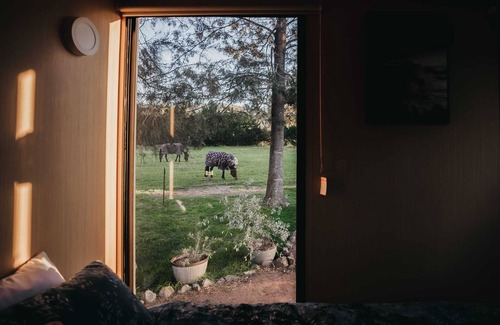 Berry House | True Colours Tiny House