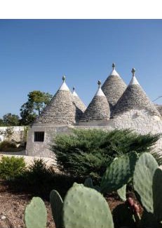 Selva di Fasano House | Trulli Clematis with Pool