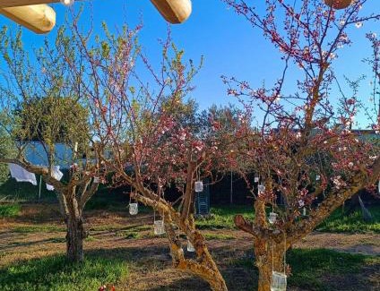 Martina Franca Villa | Trulli Fortunato private, heated swimming pool