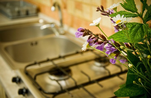 Martina Franca Other | Trulli il Castagno