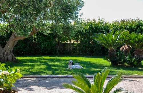 Martina Franca House | Trulli l’Olivo Casa Vacanze