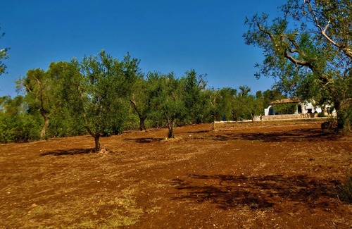 Latiano Villa | TRULLO COURSE ITALY 3