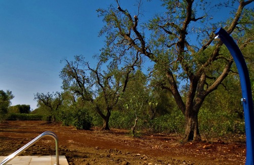 Latiano Villa | TRULLO COURSE ITALY 3