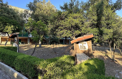 Selva di Fasano House | Trullo Panoramico