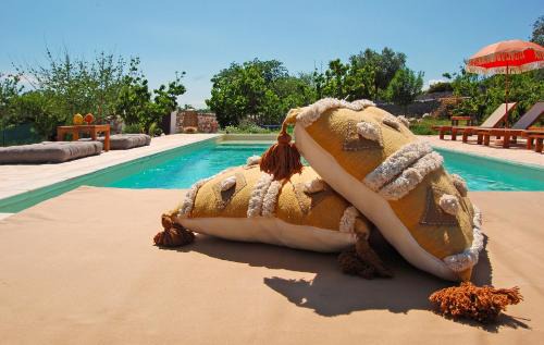 Castellana Grotte Villa | Trullo Raro