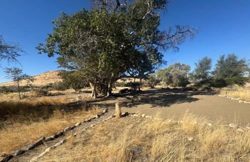Sesriem Other | Tsauchab River Camp Campsite