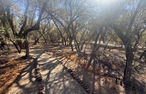 Sesriem Other | Tsauchab River Camp Campsite