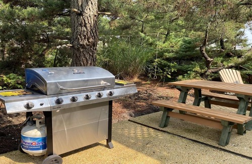 South Beach Haven House | Tucked away in Holgate is this newly renovated pet friendly gem