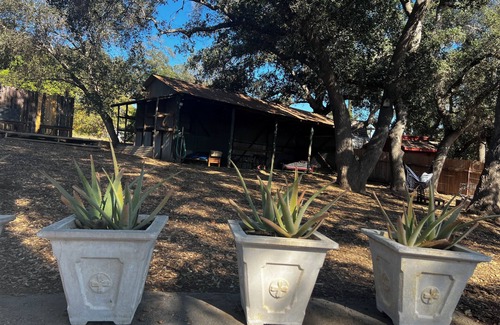 Meiners Oaks House | tucked away with room to play