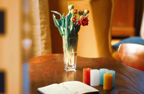 Vleteren Ski Chalet | Tulpenhuys